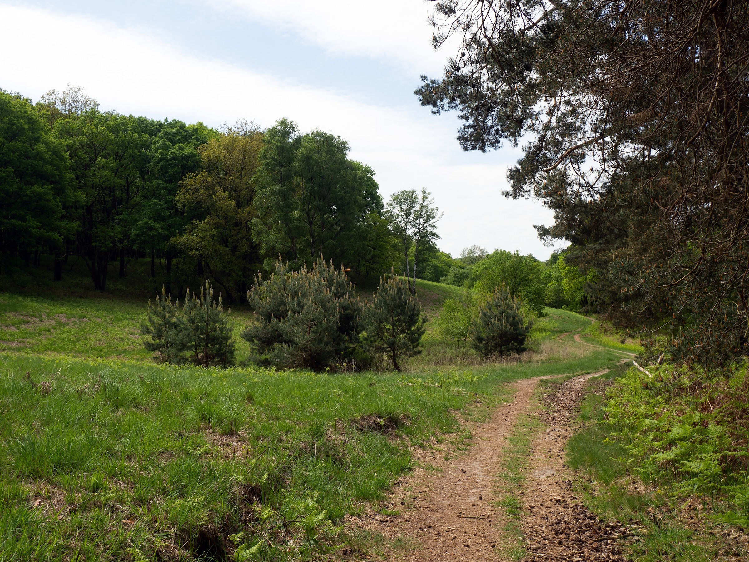 Nationaal Park de Meinweg